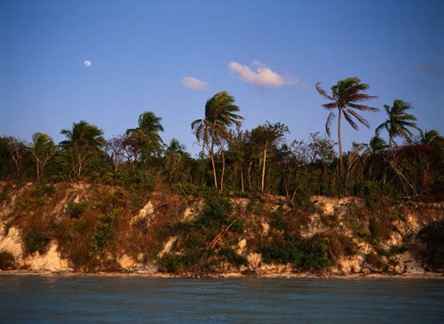 Moonrise Palm Trees Harbour Island Bahamas (MF).jpg
